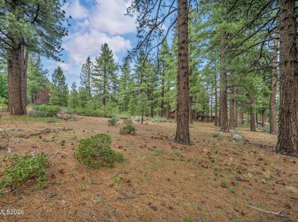 307 E Jeffrey Pine Road, Reno, NV 89511 Photo