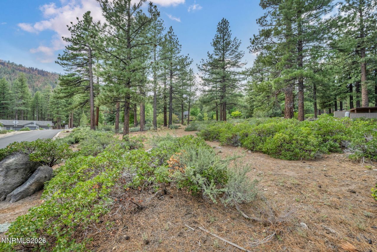 307 E Jeffrey Pine Road, Reno, NV 89511 Photo