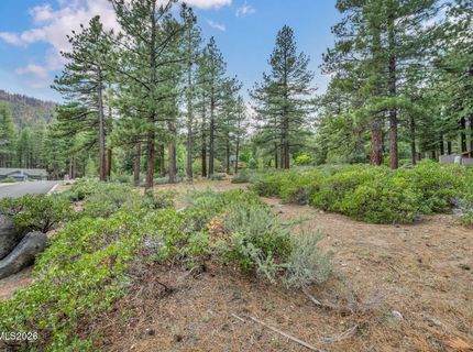 307 E Jeffrey Pine Road, Reno, NV 89511 Photo