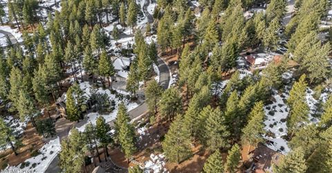 307 E Jeffrey Pine Road, Reno, NV 89511 Photo