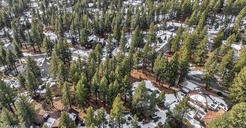 307 E Jeffrey Pine Road, Reno, NV 89511 Photo