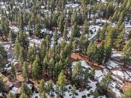 307 E Jeffrey Pine Road, Reno, NV 89511 Photo