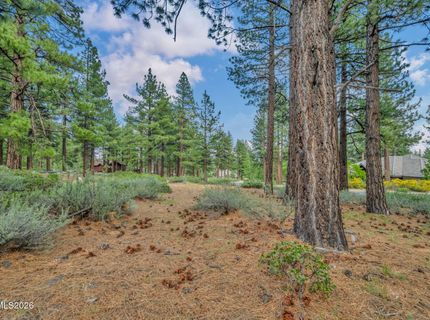 307 E Jeffrey Pine Road, Reno, NV 89511 Photo