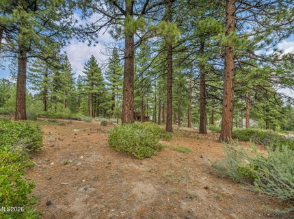 307 E Jeffrey Pine Road, Reno, NV 89511 Photo