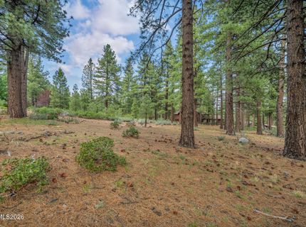 307 E Jeffrey Pine Road, Reno, NV 89511 Photo