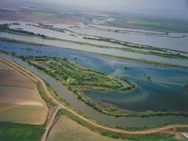 0 Halls Island, Walnut Grove, CA 95690