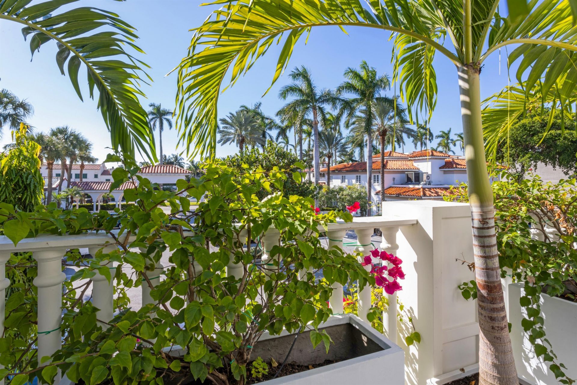 238 Phipps, Palm Beach, FL 33480 Photo