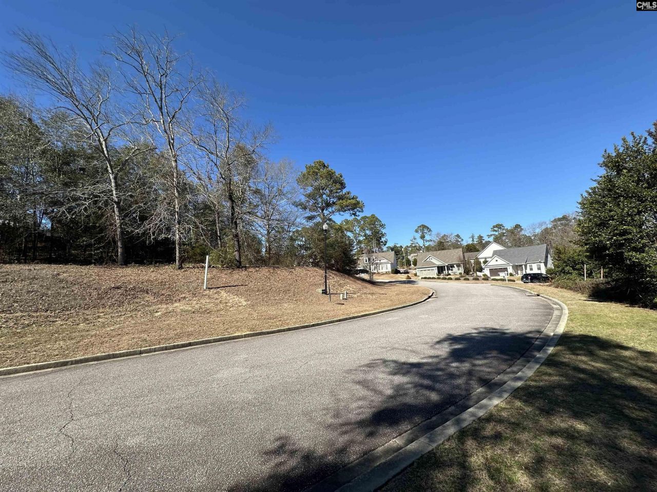 117 Mayhaw Drive Photo 5