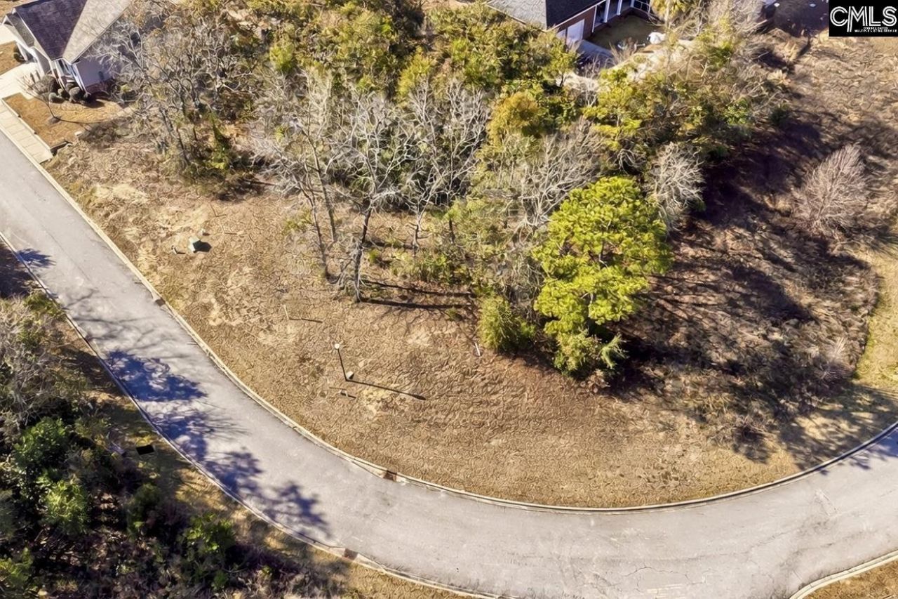 117 Mayhaw Drive Photo 6