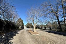 119 Mayhaw Drive photo 4