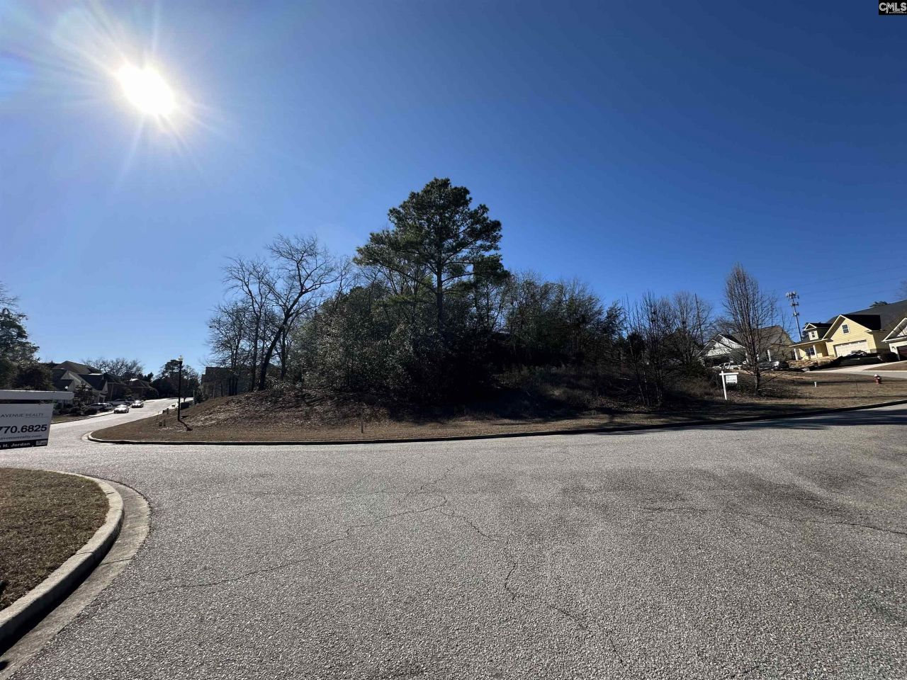 129 Mayhaw Drive Photo 4