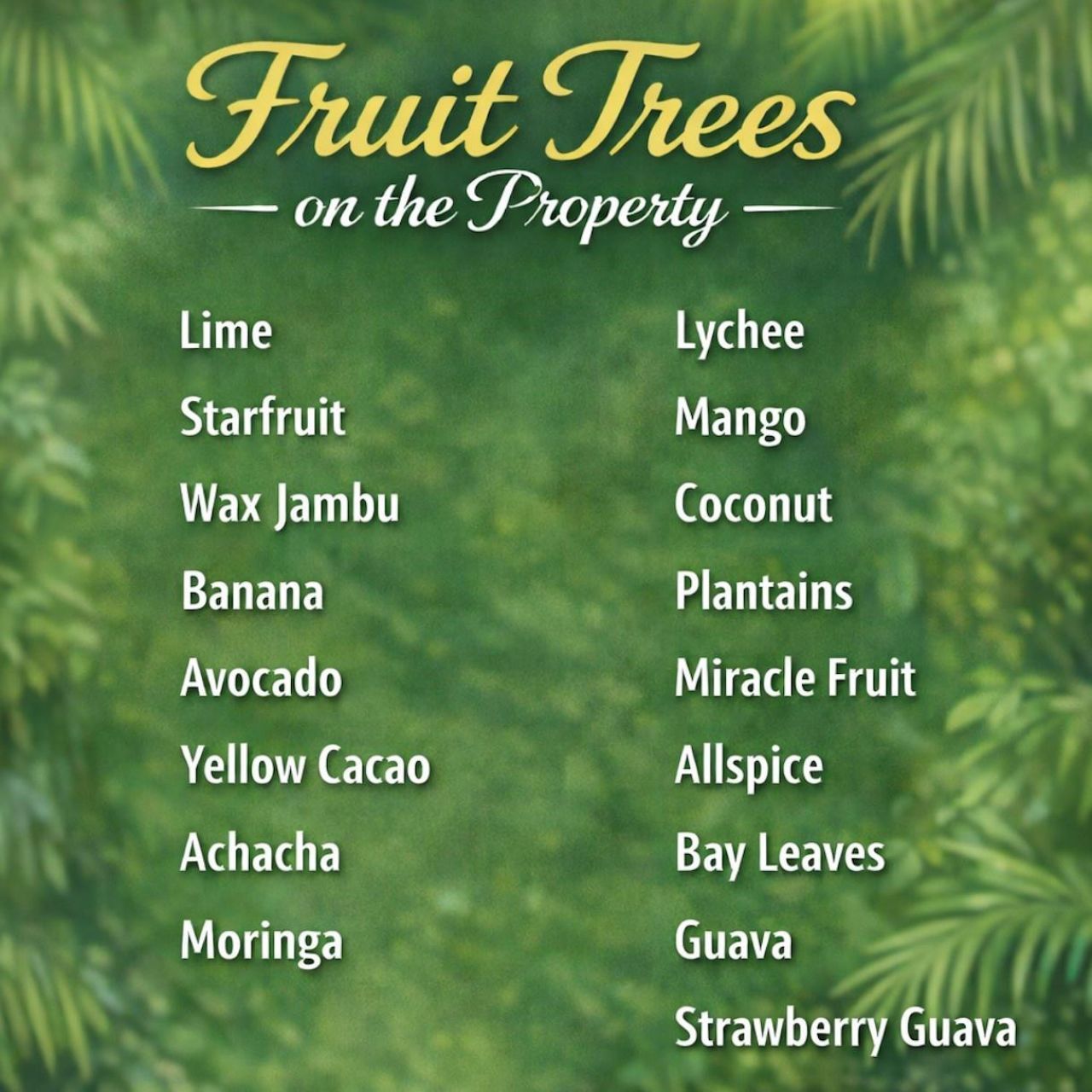 2614 NE 15th Street, Fort Lauderdale, FL 33304 Photo