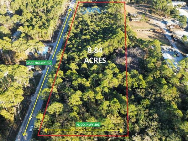 0 N Co Highway 393, Santa Rosa Beach, FL 32459