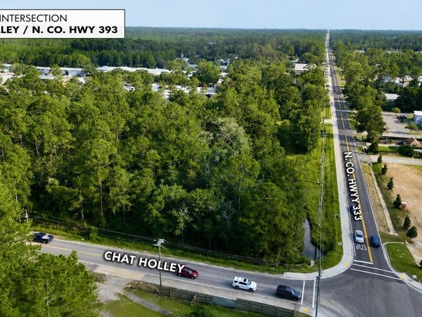 0 N Co Highway 393, Santa Rosa Beach, FL 32459