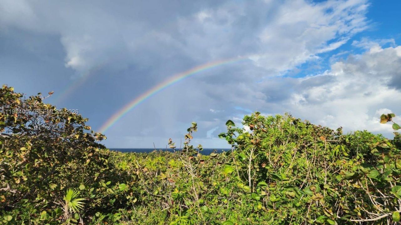 00 Galina, St. Mary, Jamaica, , FL 00000 Photo