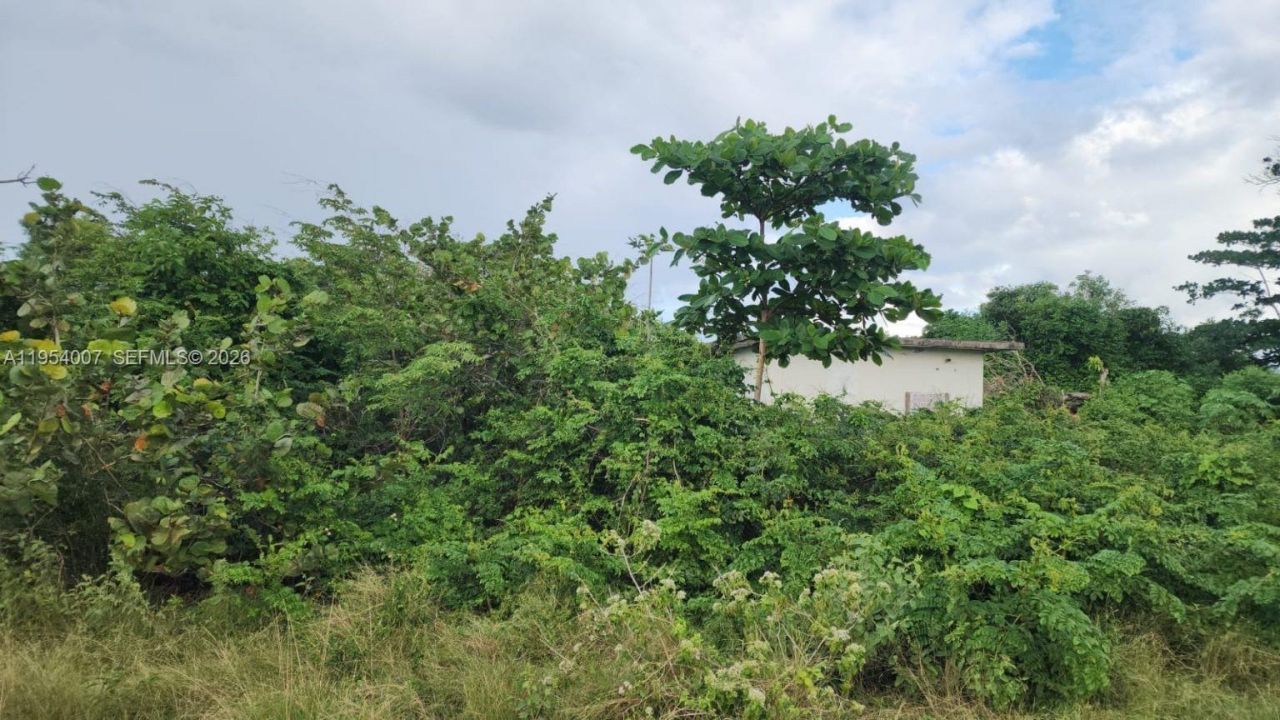 00 Galina, St. Mary, Jamaica, , FL 00000 Photo