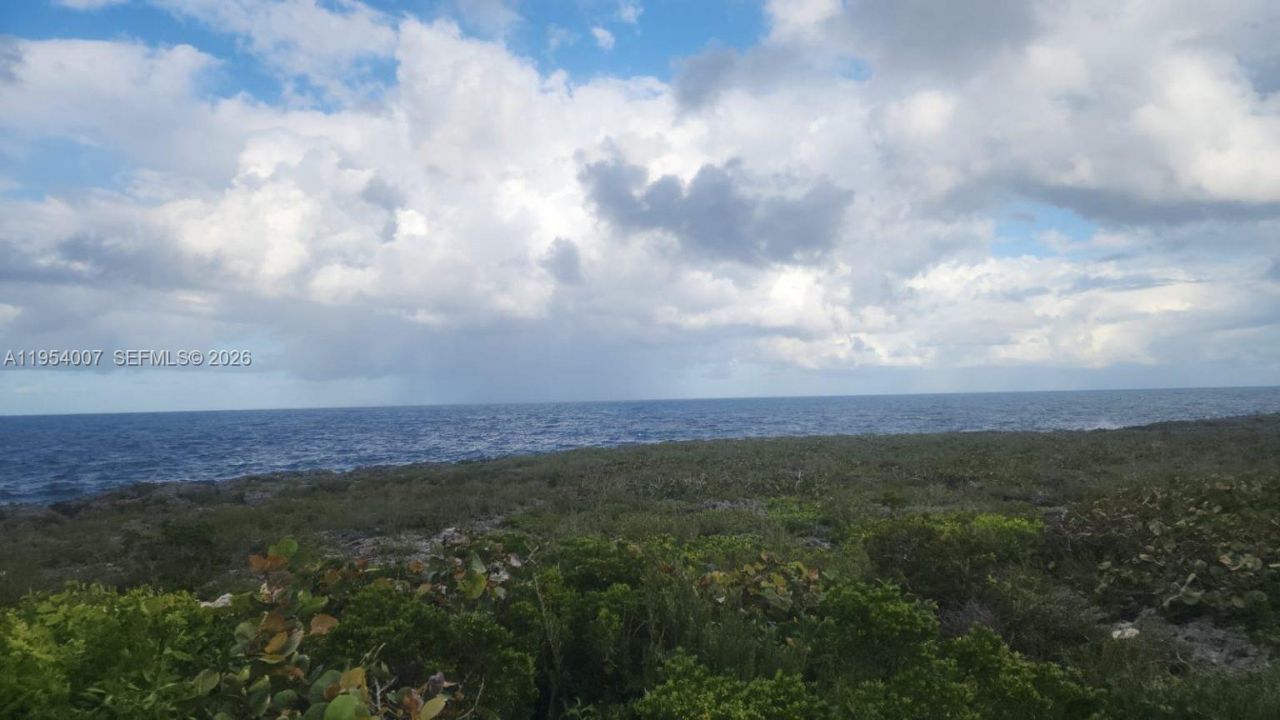 00 Galina, St. Mary, Jamaica, , FL 00000 Photo