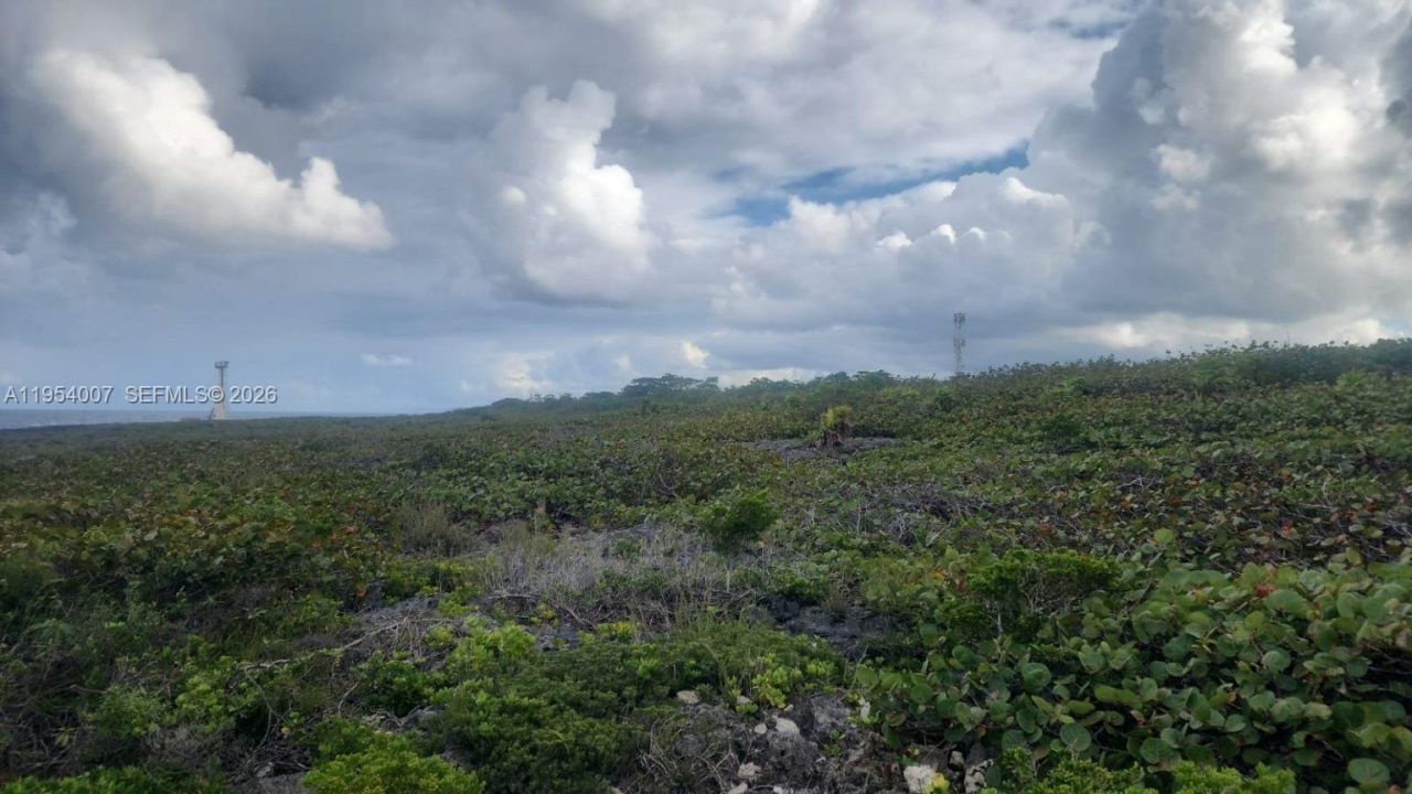 00 Galina, St. Mary, Jamaica, , FL 00000 Photo