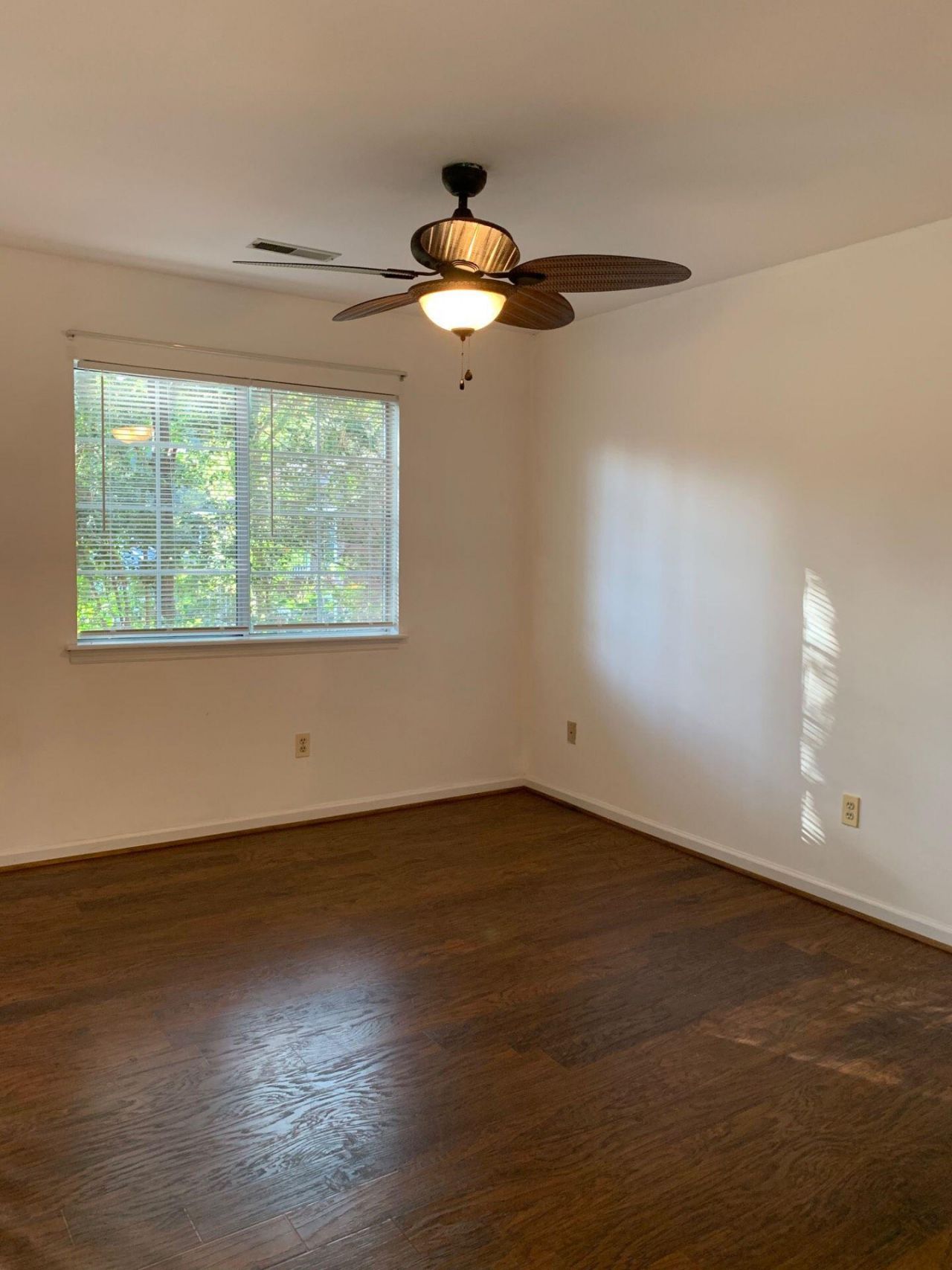 1979 Tison Lane Photo 16