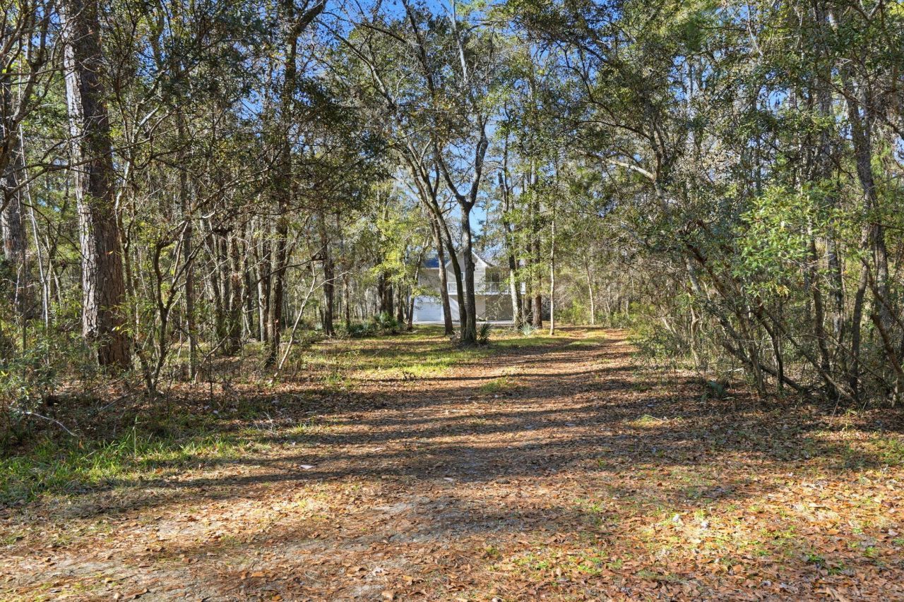 9450 Savannah Highway Photo 5