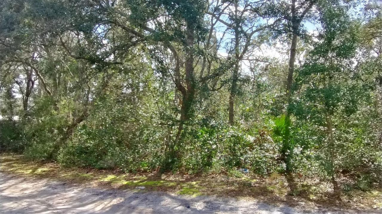 28515 Poinsettia Avenue, Paisley, FL 32767 Photo