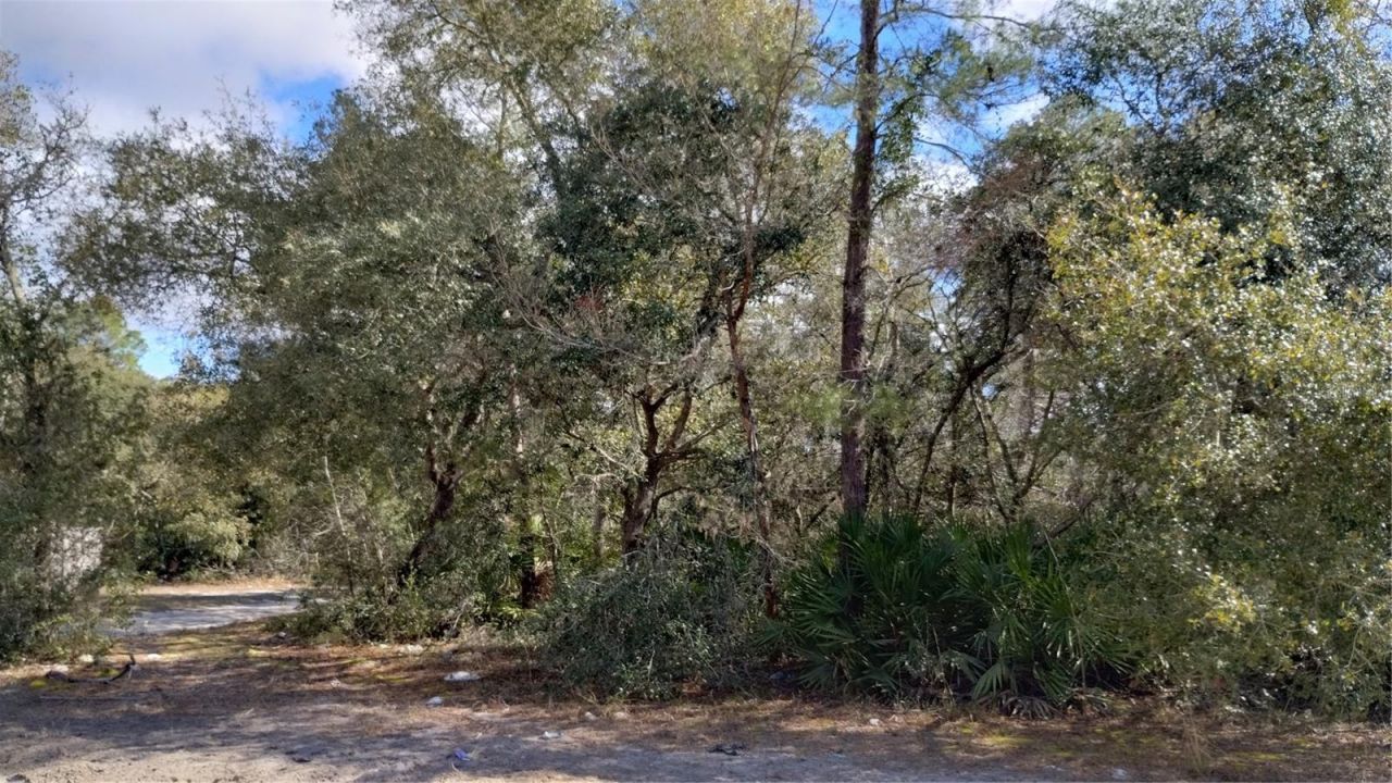 28515 Poinsettia Avenue, Paisley, FL 32767 Photo