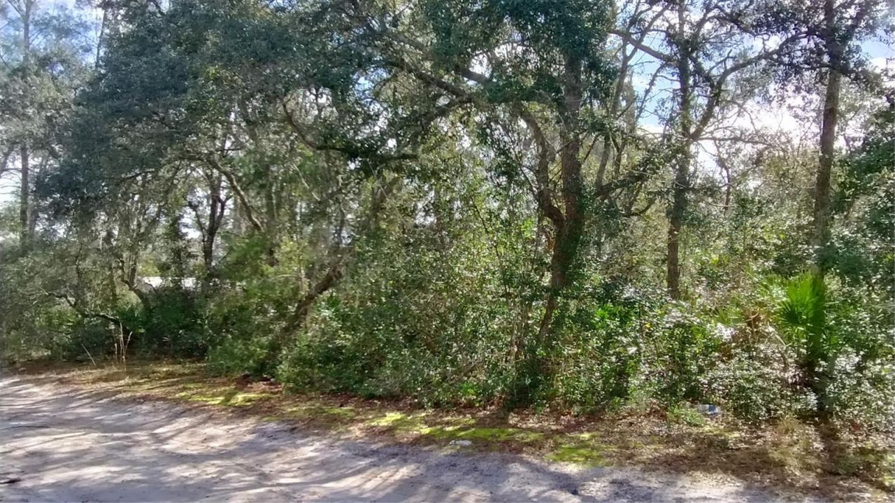 28515 Poinsettia Avenue, Paisley, FL 32767 Photo