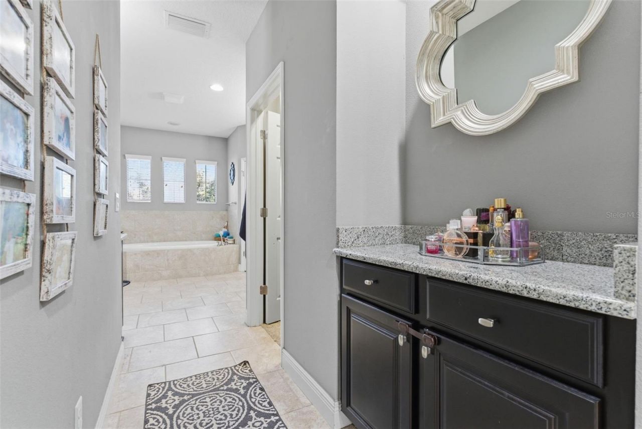 2651 Calvano Drive, Land O Lakes, FL 34639 Photo