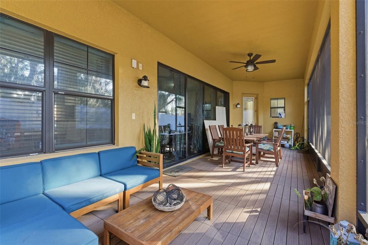 2651 Calvano Drive, Land O Lakes, FL 34639 Photo