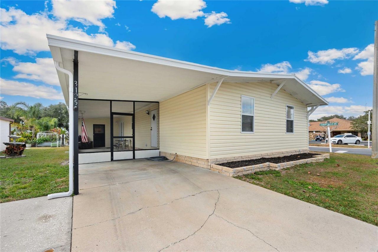 3125 Briar Street, Wesley Chapel, FL 33543 Main Photo