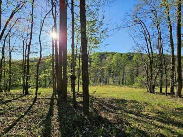 TRACT 3 ISNER Run, Elkins, WV 26241