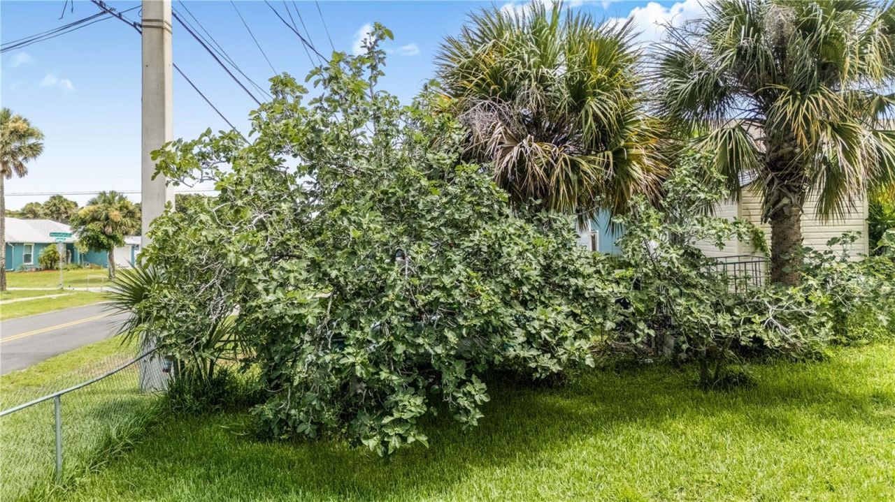1420 N Grandview Avenue, Daytona Beach, FL 32118 Photo