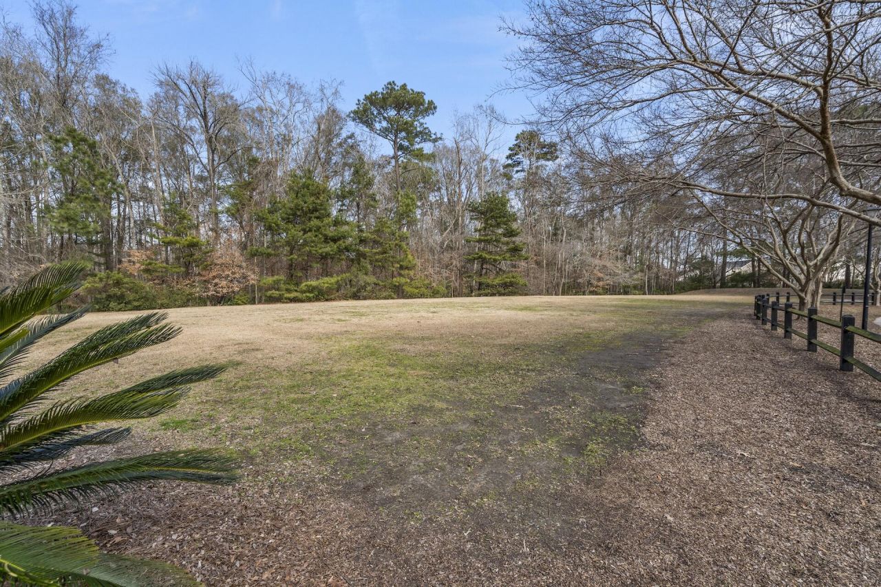 219 Burton Avenue Photo 36