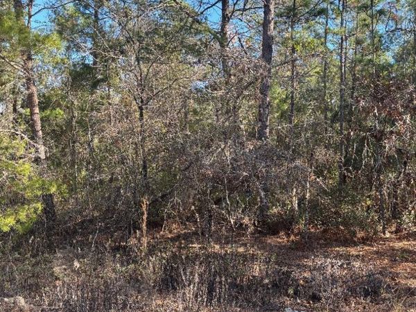 7457 BIENVILLE Avenue, Keystone Heights, FL 32656