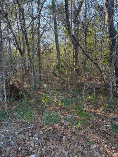 01 Broughton Road Photo 2