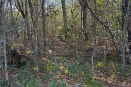 01 Broughton Road photo 4