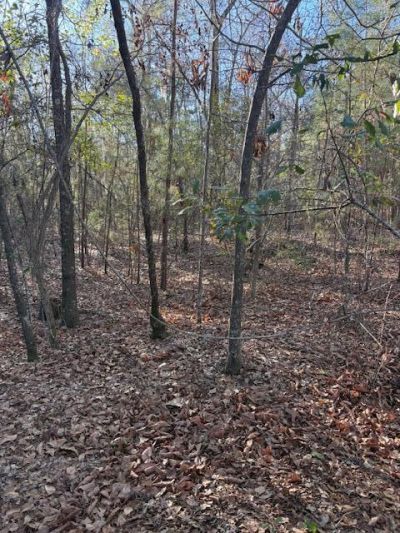 01 Broughton Road Photo 3