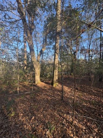 01 Broughton Road Photo 4