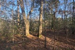 01 Broughton Road photo 4