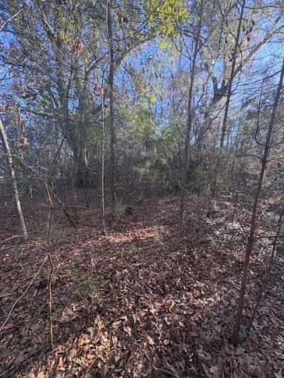 01 Broughton Road Photo 5