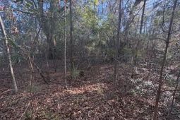 01 Broughton Road photo 4