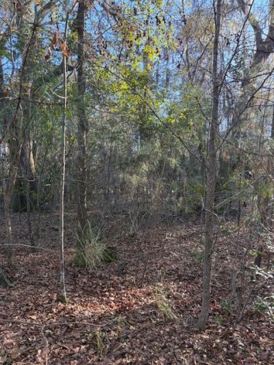 01 Broughton Road Photo 6