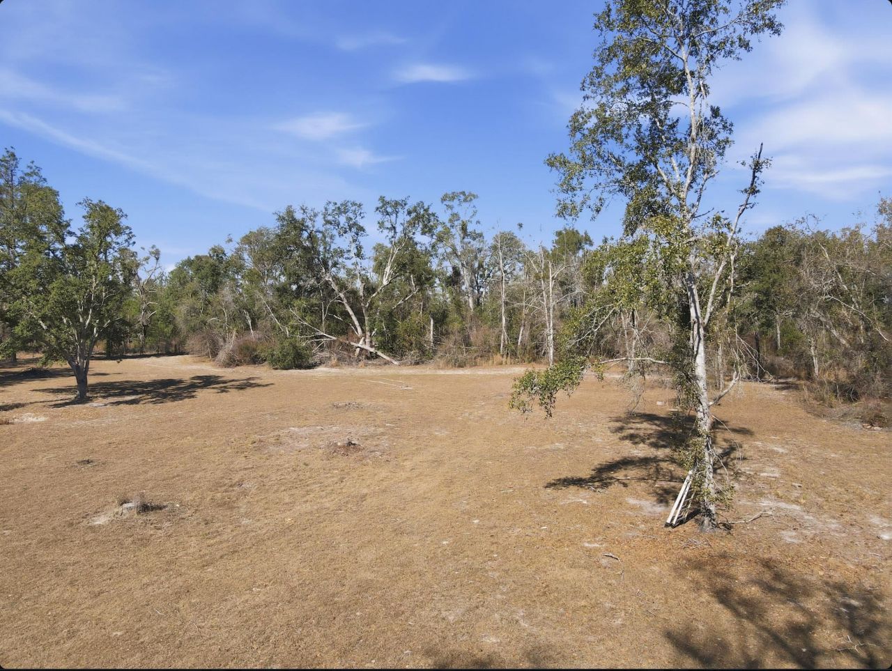 933 NE Fir Street, Pinetta, FL 00000 Photo