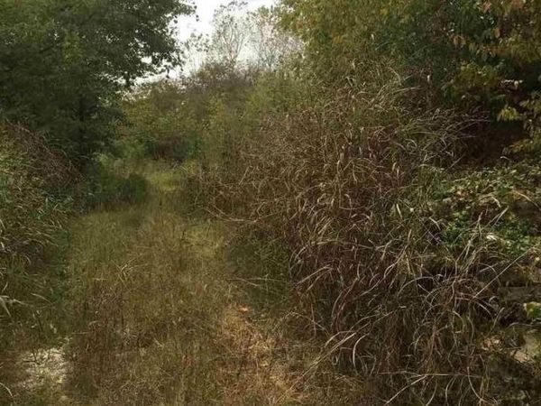 0 BLACKBURN AVE, Memphis, TN 38127