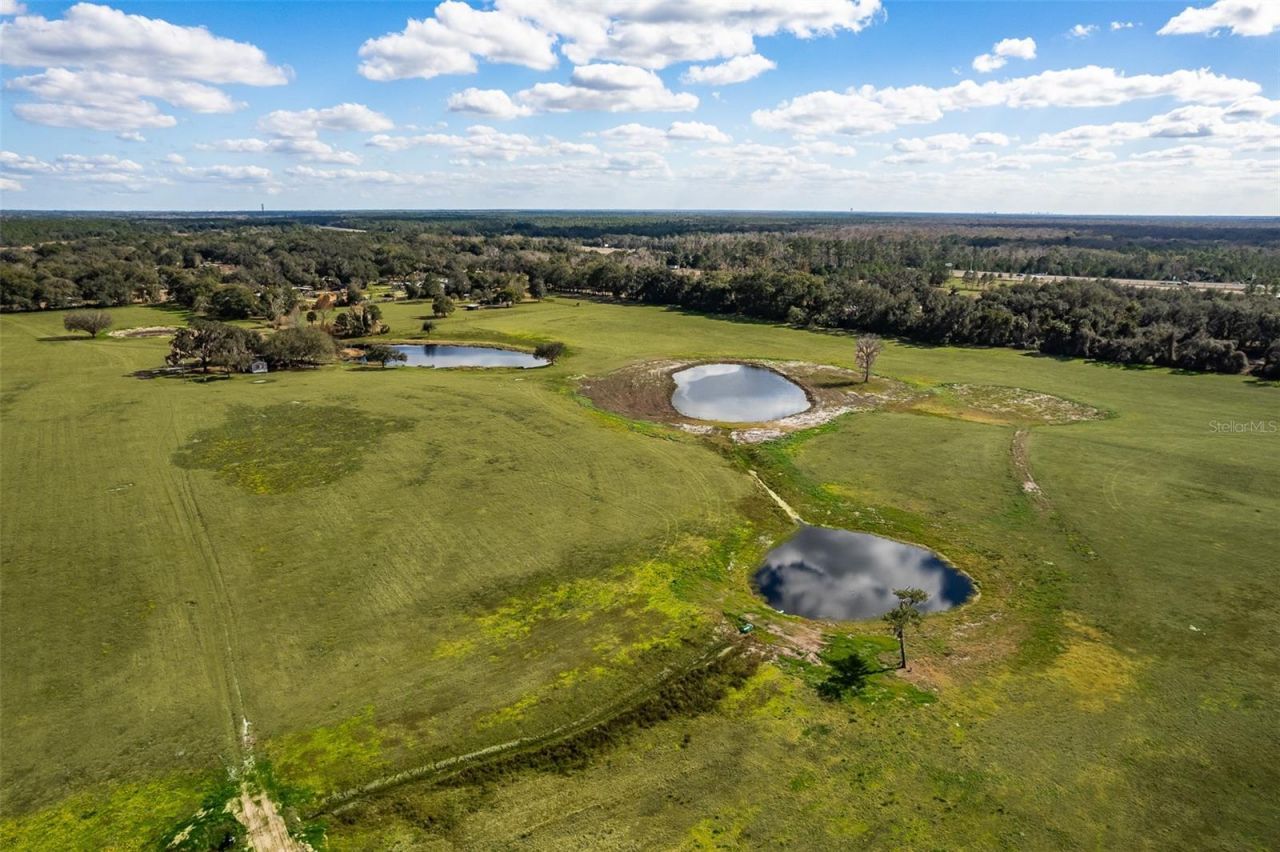 Cypress Mill Road, Sorrento, FL 32776 Photo