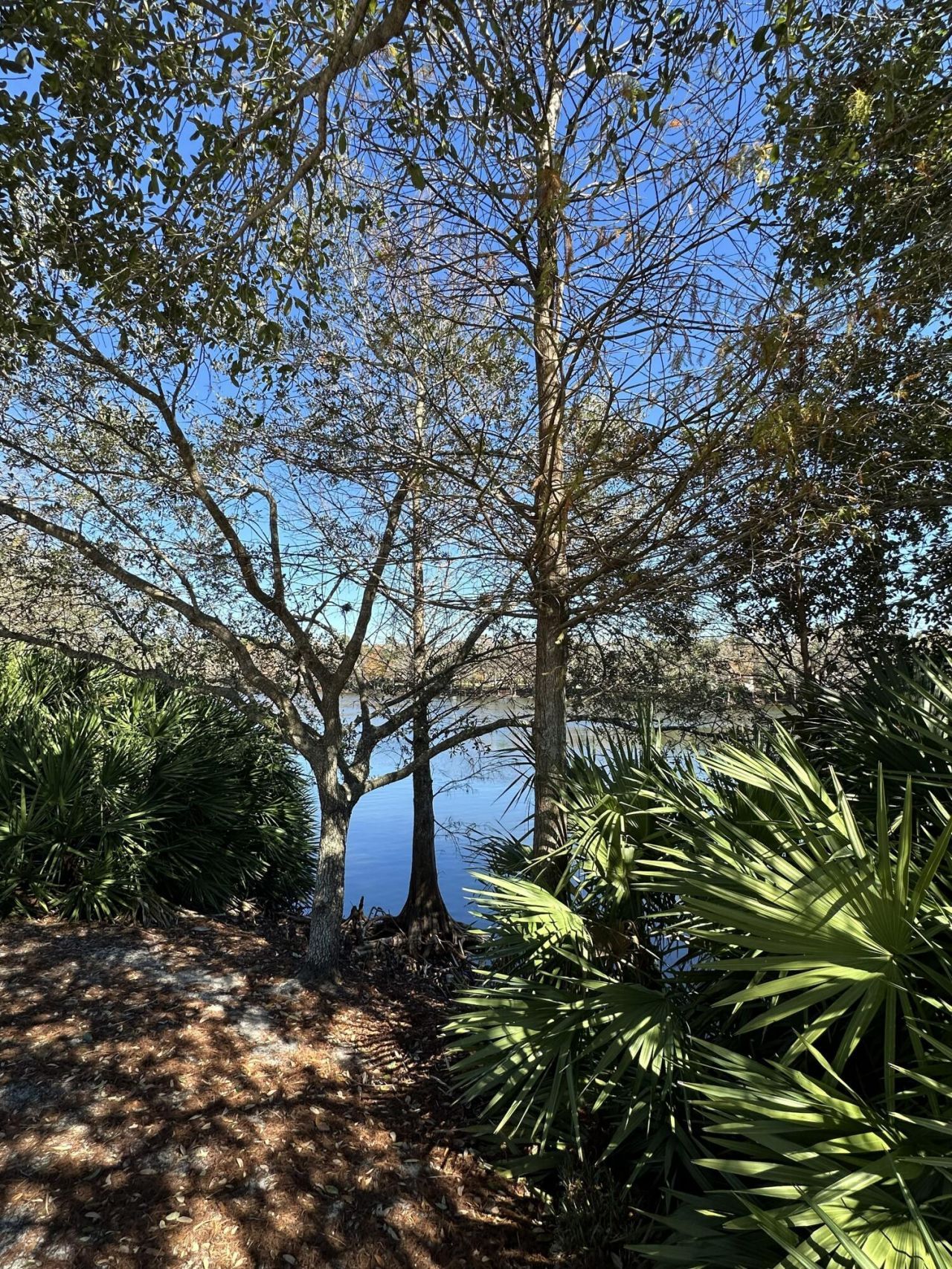 2383 SE Ruskin Drive, Port Saint Lucie, FL 34952 Photo