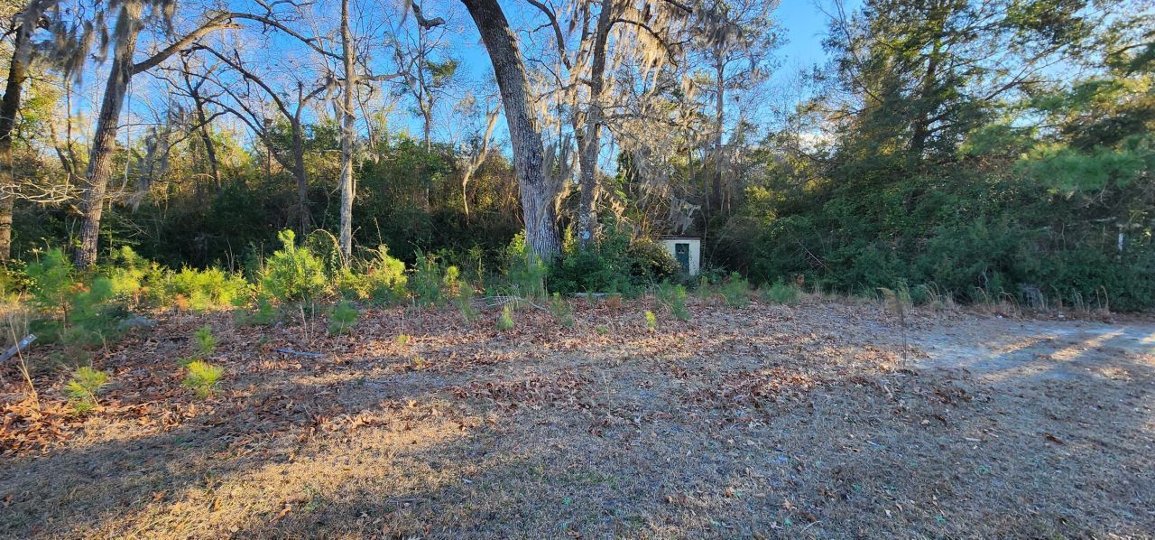 0 Old Number 6 Highway Photo 5