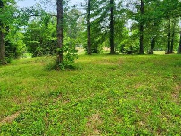 000 Overlook Ridge, Big Sandy, TN 38221