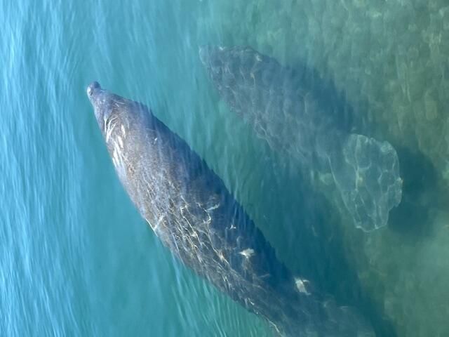 5600 N Flagler Drive, Unit 307, West Palm Beach, FL 33407 Photo