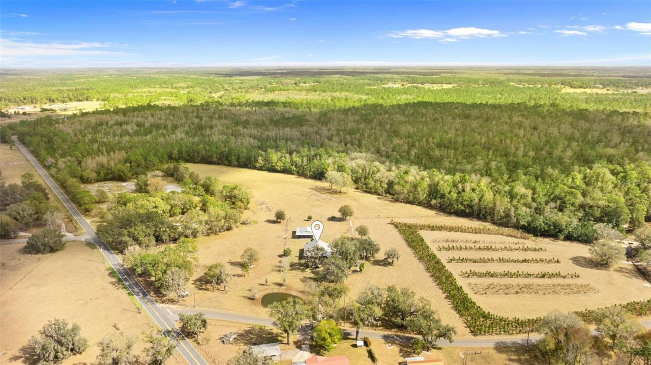 17620 Poyner Road N, Polk City, FL 33868 Photo